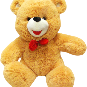 Teddy bear PNG