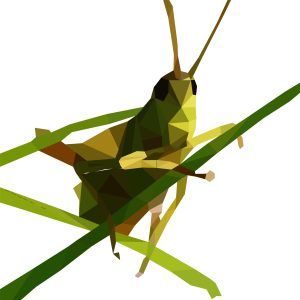 Grasshopper PNG
