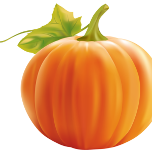 Pumpkin PNG