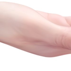 hand PNG