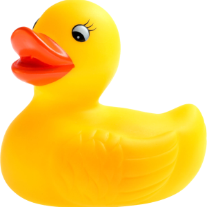 Rubber duck PNG