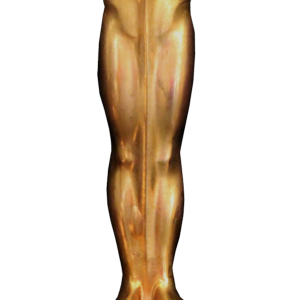 Academy Awards PNG, the Oscars PNG