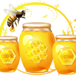 Honey PNG