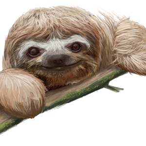 Sloth PNG