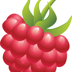 Rraspberry PNG image