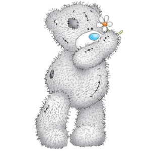 Teddy bear PNG