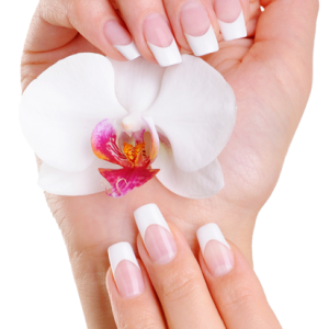 Nails PNG