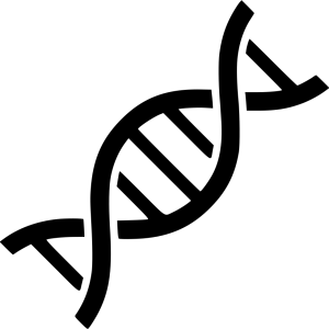 DNA PNG