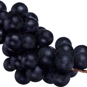 Grape PNG image