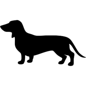 Dachshund PNG