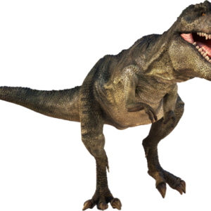 Dinosaur PNG