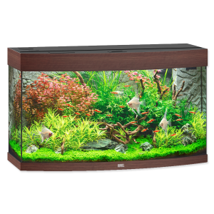 Aquarium PNG