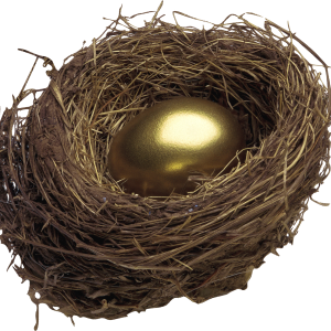 Nest PNG