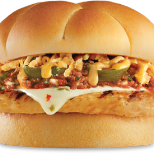 hamburger, burger PNG image