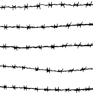 Barbed wire PNG