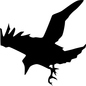 Raven PNG