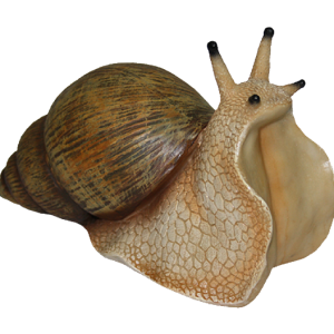 Snail PNG