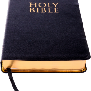 Holy Bible PNG