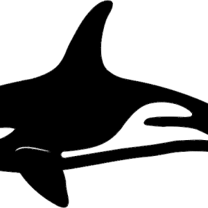 Killer whale PNG