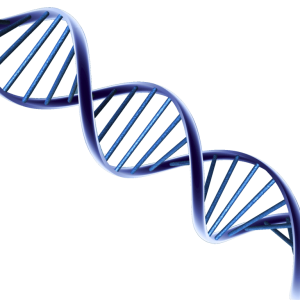 DNA PNG