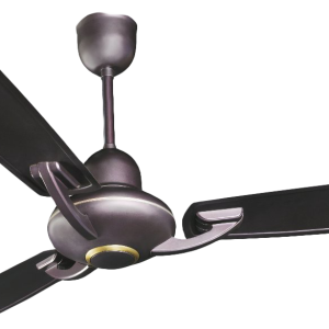 Fan PNG
