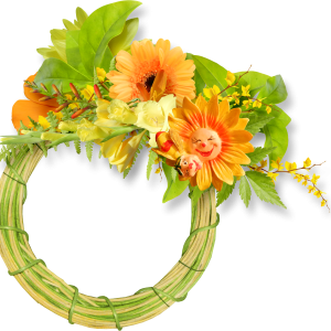 Floral frame PNG