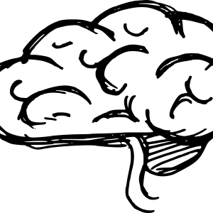 Brain PNG