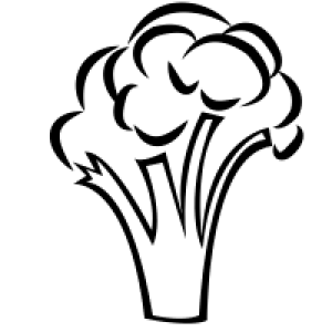 Broccoli PNG