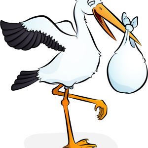 stork baby PNG
