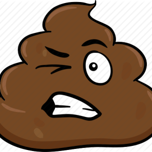 Poop icon PNG