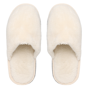 Slippers PNG