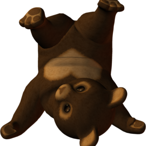little bear PNG image