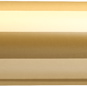 Bullets PNG image