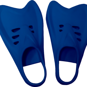 Flippers PNG