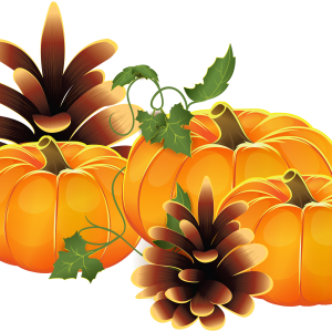 Pumpkin PNG