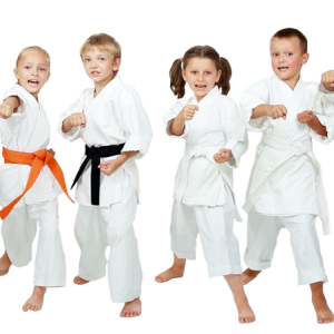 Karate PNG
