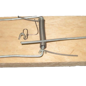 Mouse trap PNG