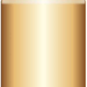 Bullets PNG image