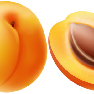 Apricot PNG