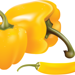 Bell pepper PNG