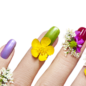Nails manicure PNG