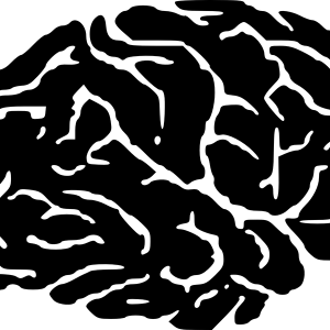 Brain PNG