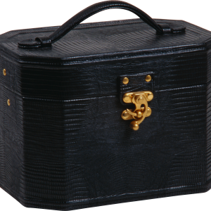 Treasure chest PNG
