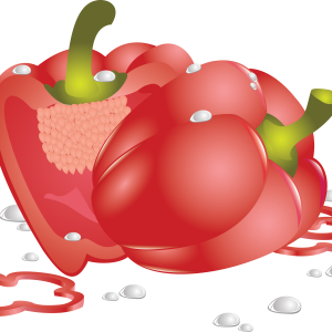 Bell pepper PNG