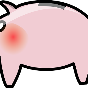 Piggy bank PNG