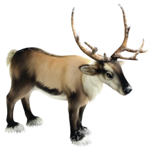 Santa Claus's reindeer PNG