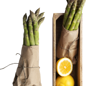 Asparagus PNG