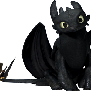 Night Fury PNG