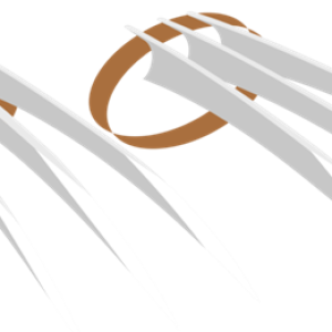 Wolverine claws PNG