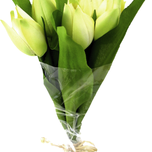 Bouquet flowers PNG